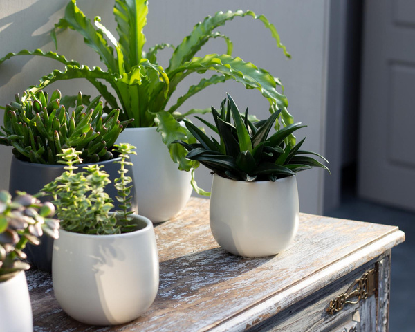 Vitoria 11/11 osłonka ceramiczna biała