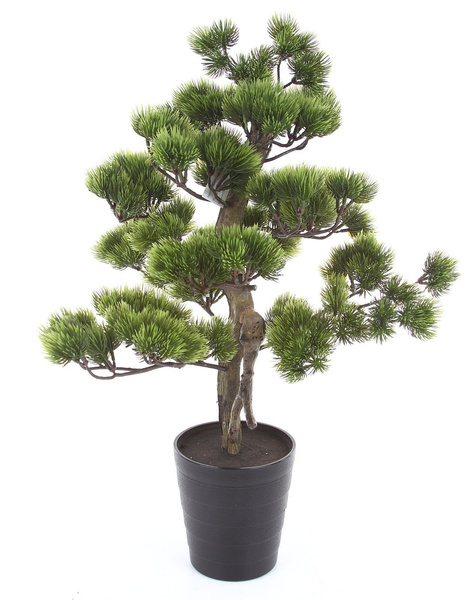 Sztuczne drzewko Bonsai Sosna Pinia 60 cm w doniczce