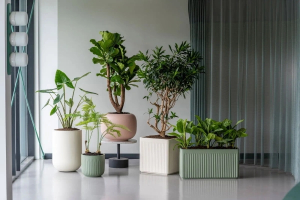 Sphere XS 33/37 purowo różowa matowa osłonka z włókna szklanego