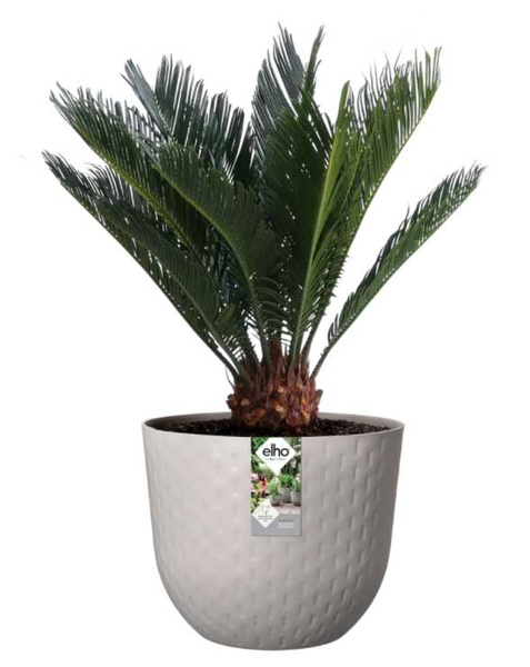 Fuente 29/24 doniczka wytłaczana popielata warm grey