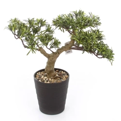 Sztuczny Bonsai Podocarpus 40x40 cm