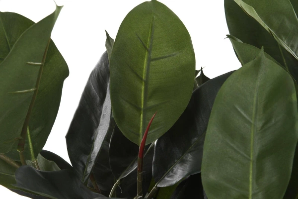 Sztuczny Fikus Elastica Robusta 95 cm na drewnianym pniu