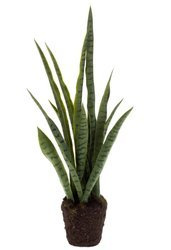 Sztuczna Sansewieria Wężownica 80 cm 15 liści