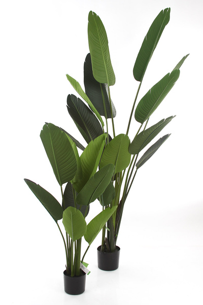 Sztuczna strelicja 120 i 190 cm - zestaw