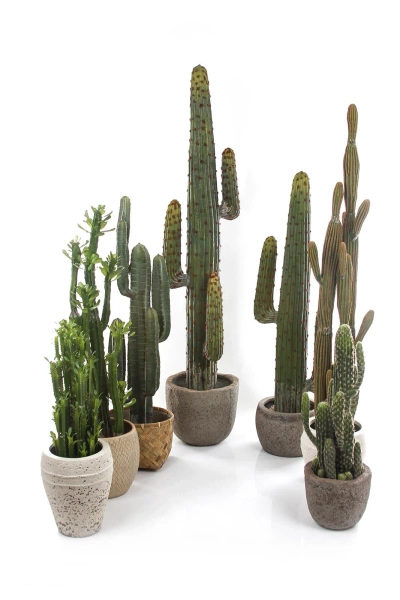 Sztuczny Kaktus Euphorbia Trigona 64 cm