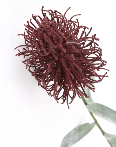 Sztuczny Srebrnik Protea Spray 75 cm purpurowa