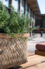 Nouri M 60x20/21 naturalna prostokątna doniczka z bambusa i cementu