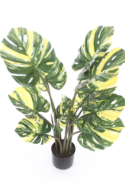 Sztuczna Monstera dziurawa Variegara żółto-zielona 90 cm
