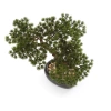 Sztuczny Bonsai Pinia Sosna 26 cm w czarnej doniczce