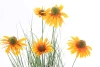 Sztuczna rudbekia 60 cm pomarańczowe kwiaty