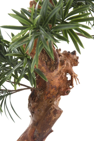 Sztuczny Podocarpus Bonsai 105 cm UV