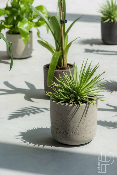 Charlie XXS 10,6/9,9 doniczka kamienna cylindryczna szara