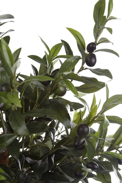 Sztuczna Oliwka 155 cm na grubym pniu deluxe