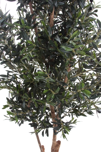 Sztuczna Oliwka 180 cm drewniany rozgałęziony pień