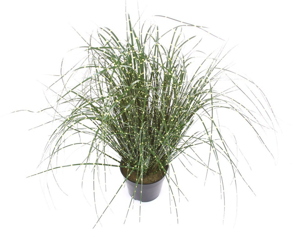 Sztuczna trawa wysoka Miskant 80 cm w doniczce