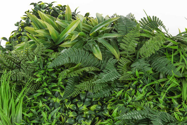 Mata zielona ściana Forest 100x100 cm mix z roślin leśnych