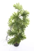 Sztuczny Filodendron na pniu 80 cm