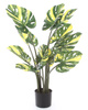 Sztuczna Monstera dziurawa Variegara żółto-zielona 90 cm