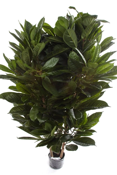 Gęsty sztuczny fikus Cyathistipula 120 cm deluxe