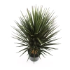 Sztuczna Juka Yucca rostrata 85 cm