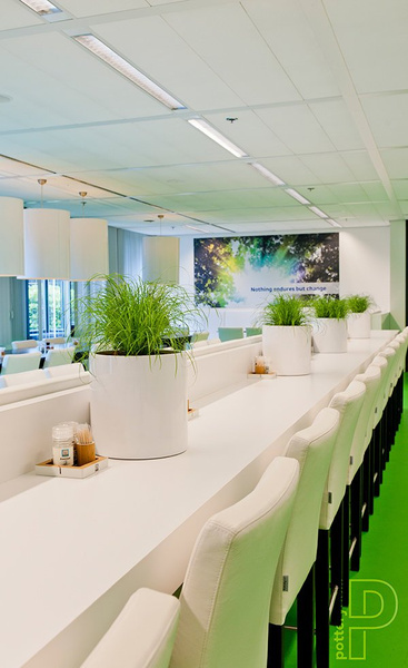 Puk M 20/20 cylindryczna osłonka biała połysk