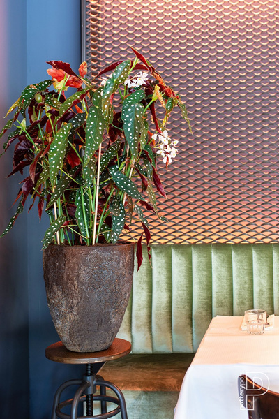 Bernd L 53/60 naturalna brązowa donica ostryga / oyster