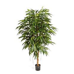 Sztuczny Fikus Royal Longifolia 180 cm 1287 liści