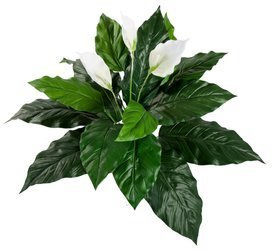 Sztuczny Skrzydłokwiat Spathiphyllum 71 cm z białymi kwiatami