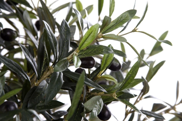 Sztuczna Oliwka 150 cm drewniany rozgałęziony pień