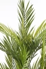 Sztuczna Palma 140 cm UV Weatherproof