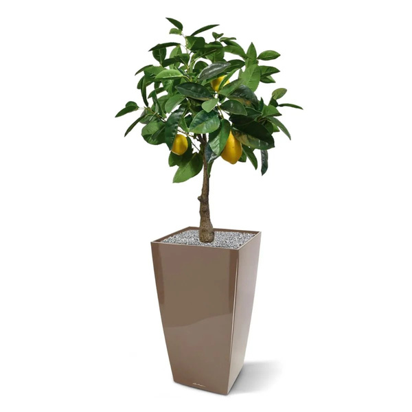 Sztuczne drzewko cytrynowe 70 cm