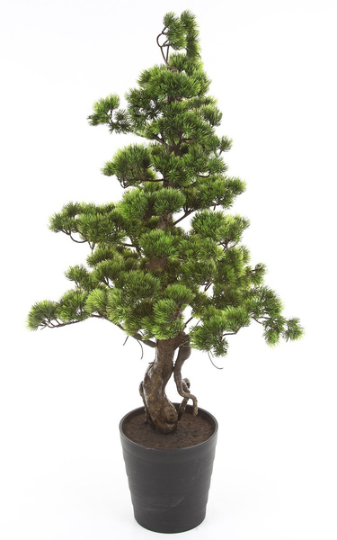 Sztuczne drzewko Bonsai Sosna Pinia 110 cm