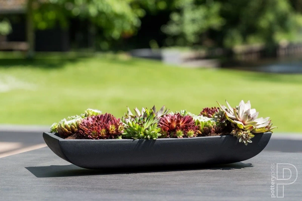 Pandora S 50x19/7 kamienna prostokątna misa szara