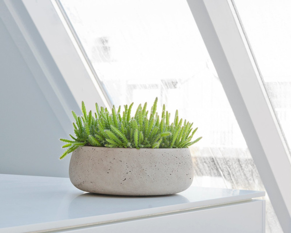 Eileen S 24/9 kamienna osłonka na bonsai misa szara