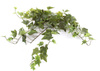 Sztuczny Bluszcz Hedera pnącze 70 cm zielony 144 liście