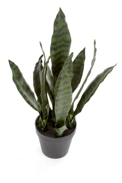 Sztuczna Sansewieria 50 cm zielona