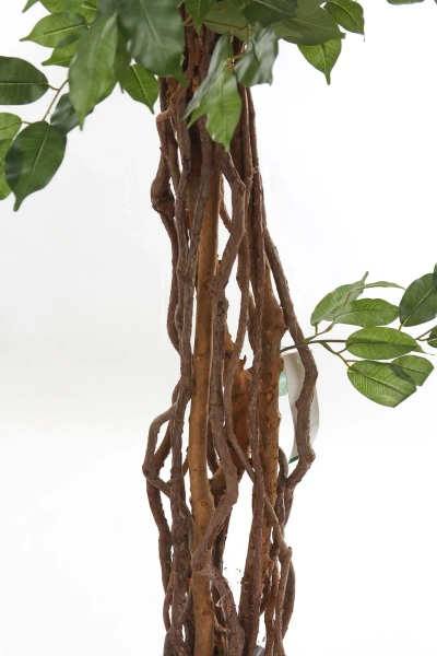 Sztuczny Fikus Liana 170 cm 1008 liści drewniane pnie