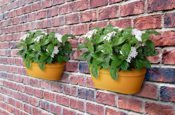 Vibia Wall Basket 35x16/15 doniczka naścienna żółta honey yellow