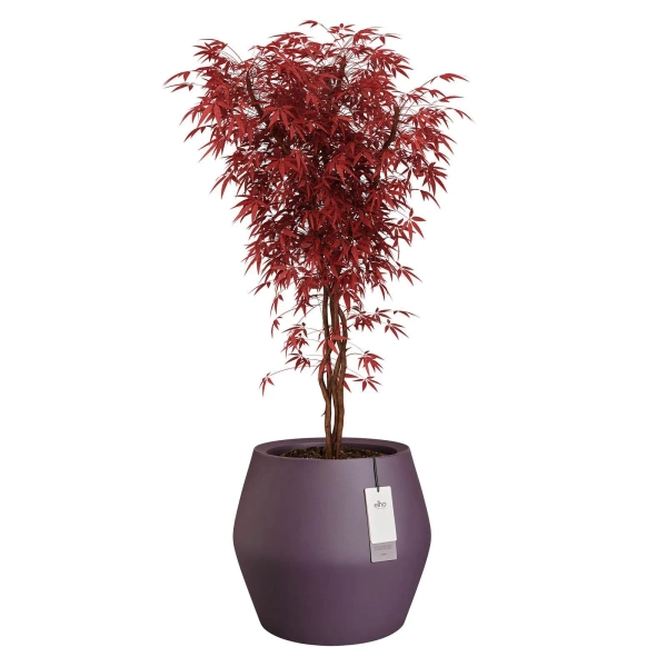 June Split Low 46/42 śliwkowa niska osłonka designerska vintage plum