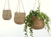 AVALON 3-PAK zestaw doniczek wiszących lub stojących z trawy morskiej