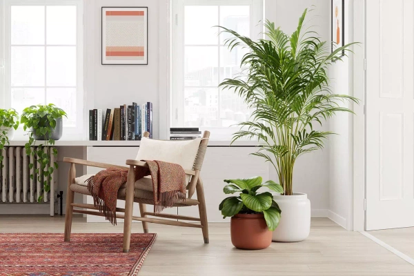 Astrea 26/22 osłonka ceramiczna antracytowa