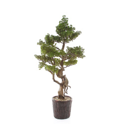 Sztuczne drzewko Bonsai Modrzew Larch 125 cm