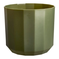 zielony / forest green