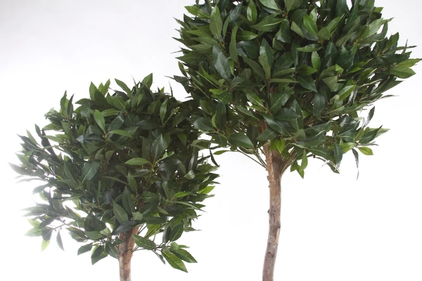 Sztuczne drzewko laurowe De Luxe 140 cm 1036 liści