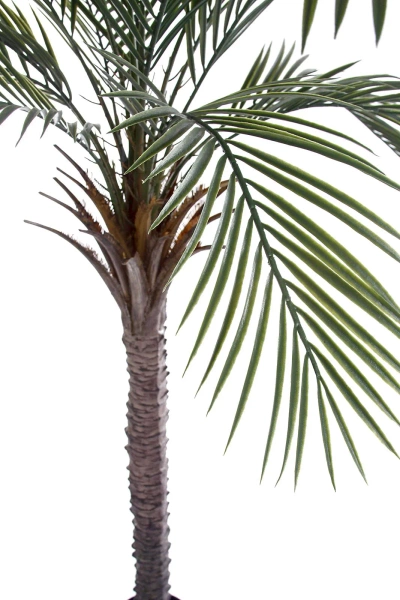 Sztuczna Palma 180 cm do ogrodu i na taras UV Weatherproof