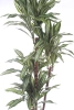 Sztuczna dracena fragrans variegated 150 cm 81 liści