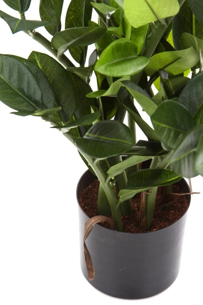 Sztuczny Zamiokulkas niski 55 cm