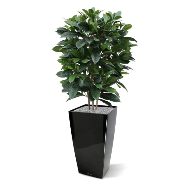 Gęsty sztuczny fikus Cyathistipula 120 cm deluxe