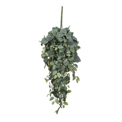 Sztuczna Pilea pnącze 70 cm