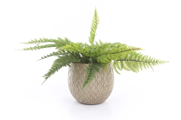 Madeira 23/23 osłonka kremowa z ceramiki